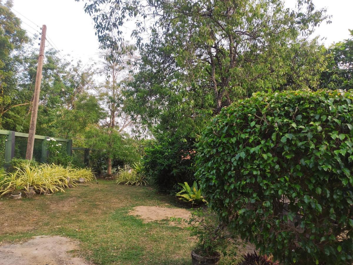 Bird House Homestays Tangalle Dış mekan fotoğraf
