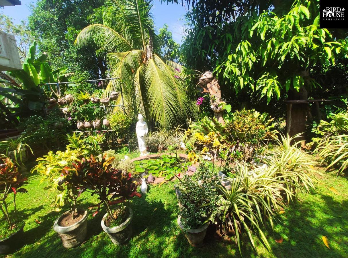 Bird House Homestays Tangalle Dış mekan fotoğraf