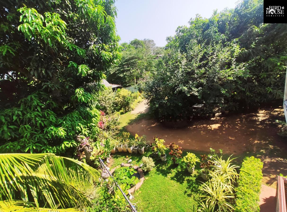 Bird House Homestays Tangalle Dış mekan fotoğraf